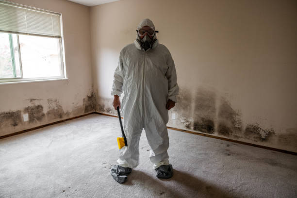 Barton Creek, TX Mold Remediation Company