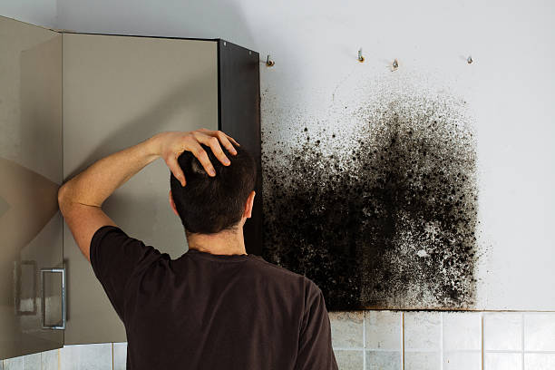 Best Bathroom Mold Remediation in Barton Creek, TX